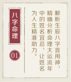 双胞胎起名起名流程一